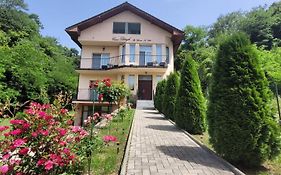 Casa Patryk
